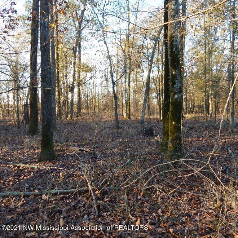 2301 Bland Road Lambert, MS 38643 - Photo 33 of 38 Gallery Image 33
