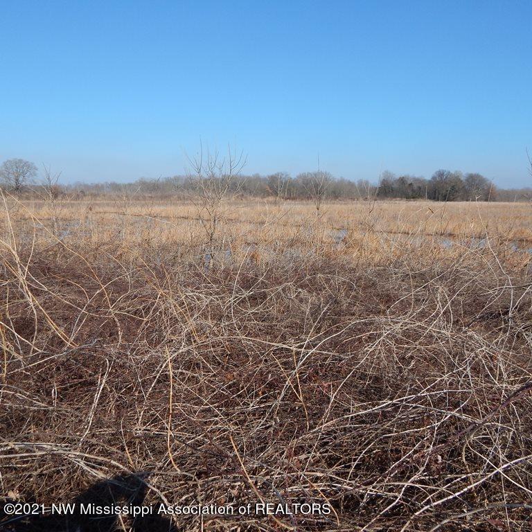 2301 Bland Road Lambert, MS 38643 - Photo 5 of 38 Gallery Image 5