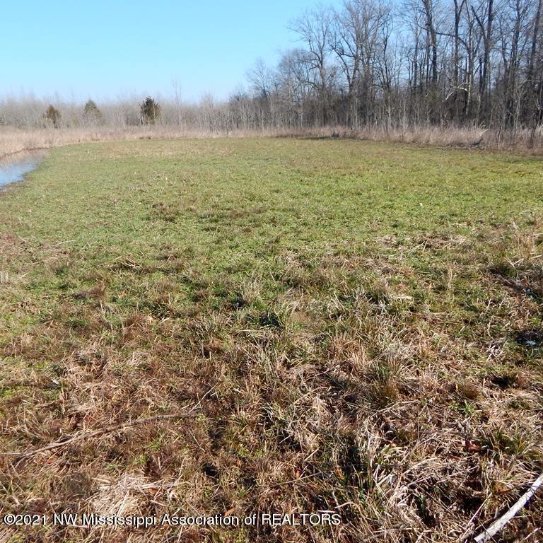 2301 Bland Road Lambert, MS 38643 - Photo 10 of 38 Gallery Image 10