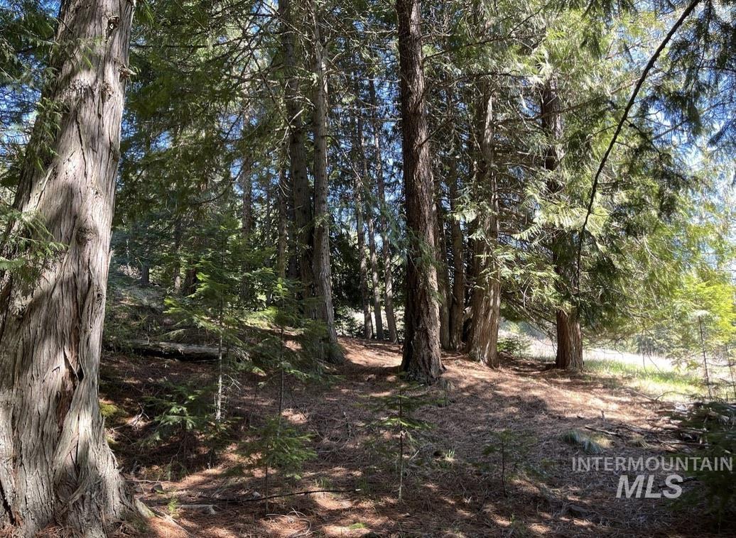 936 Red Fir Road Kooskia, ID 83539 - Photo 9 of 29