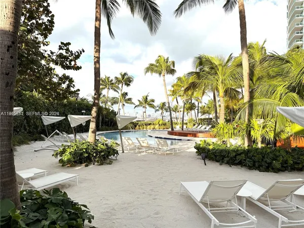 a row of palm trees and ocean view