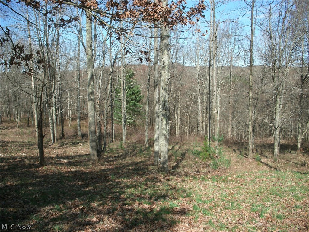 45015 Henthorne Road Woodsfield, OH 43793 - Photo 14 of 18