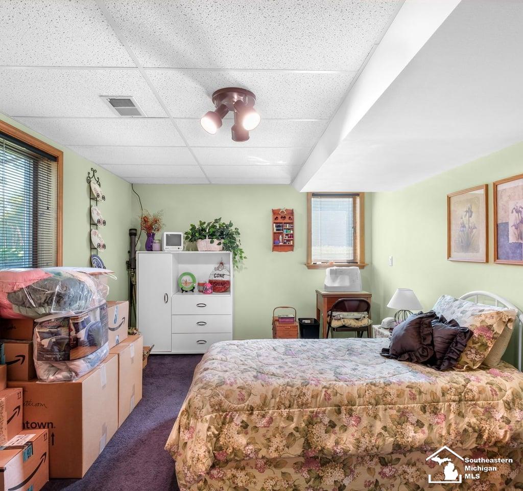 4265 Teal Road Petersburg, MI 49270 - Photo 36 of 67 50188639-23651dd0-f2a6-4024-9339-5100bc427d2f.JPG