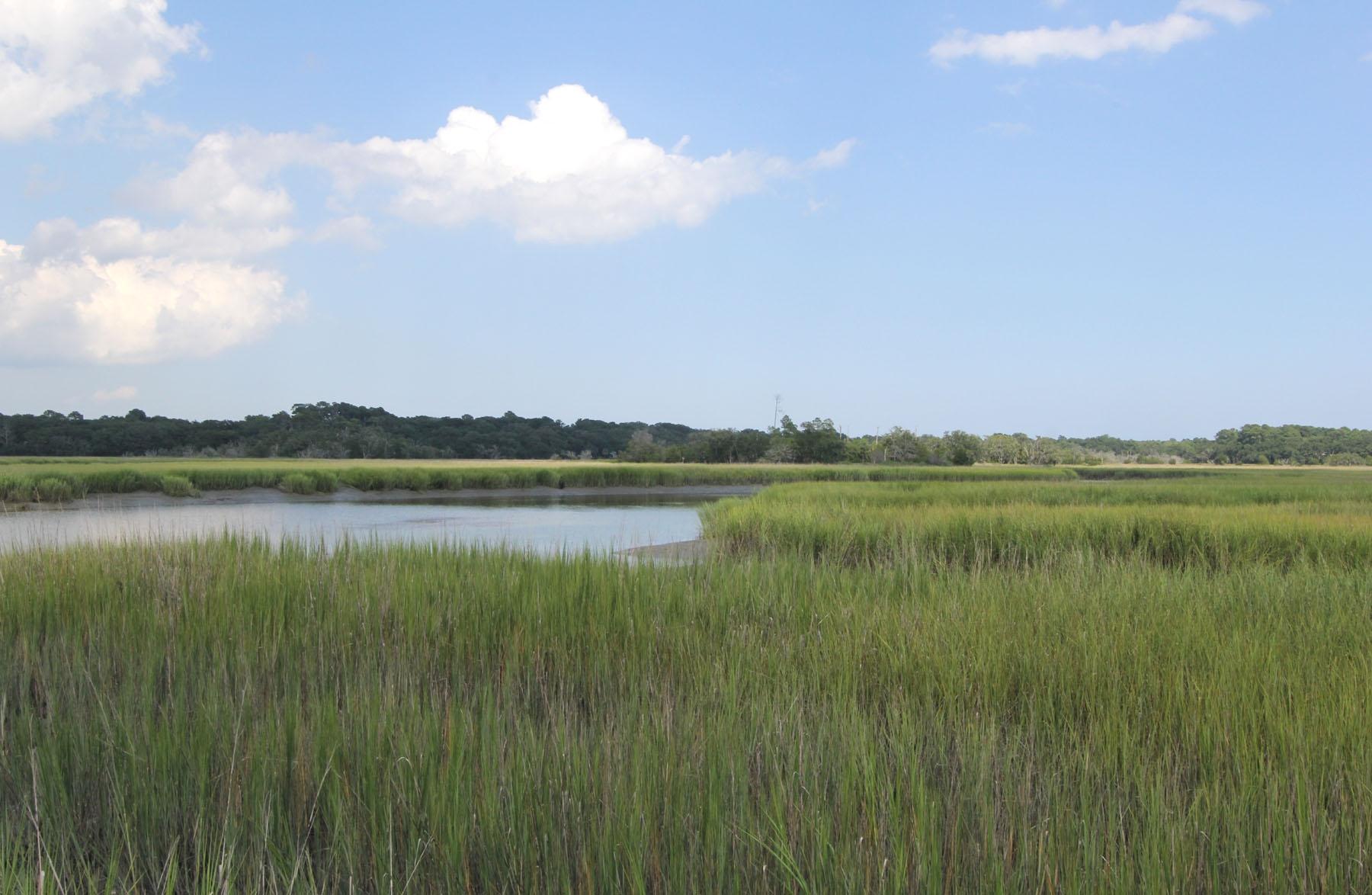 8924 Sandy Creek Road Edisto Island, SC 29438 - Photo 21 of 23 Additional Photo