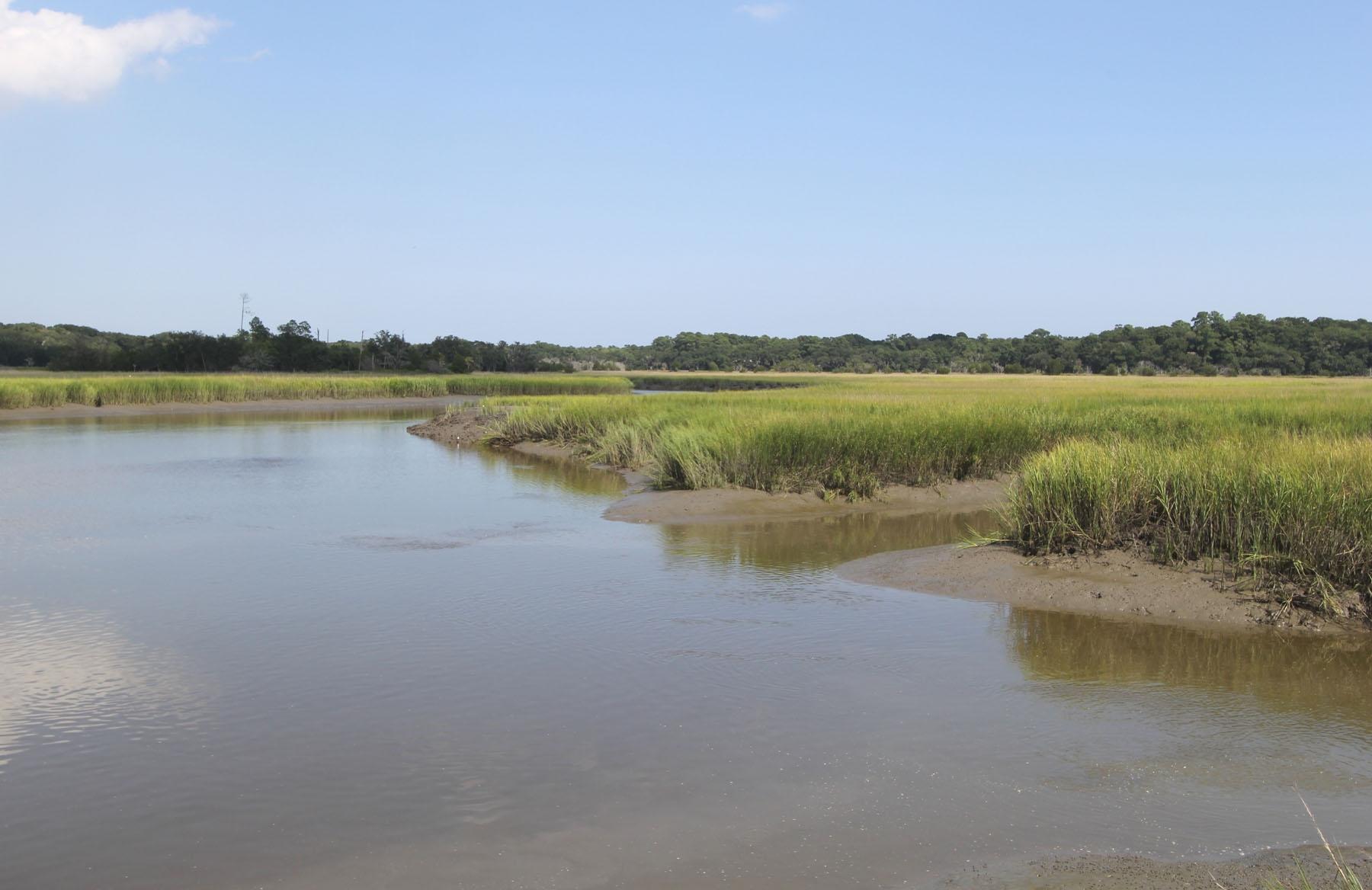 8924 Sandy Creek Road Edisto Island, SC 29438 - Photo 22 of 23 Additional Photo