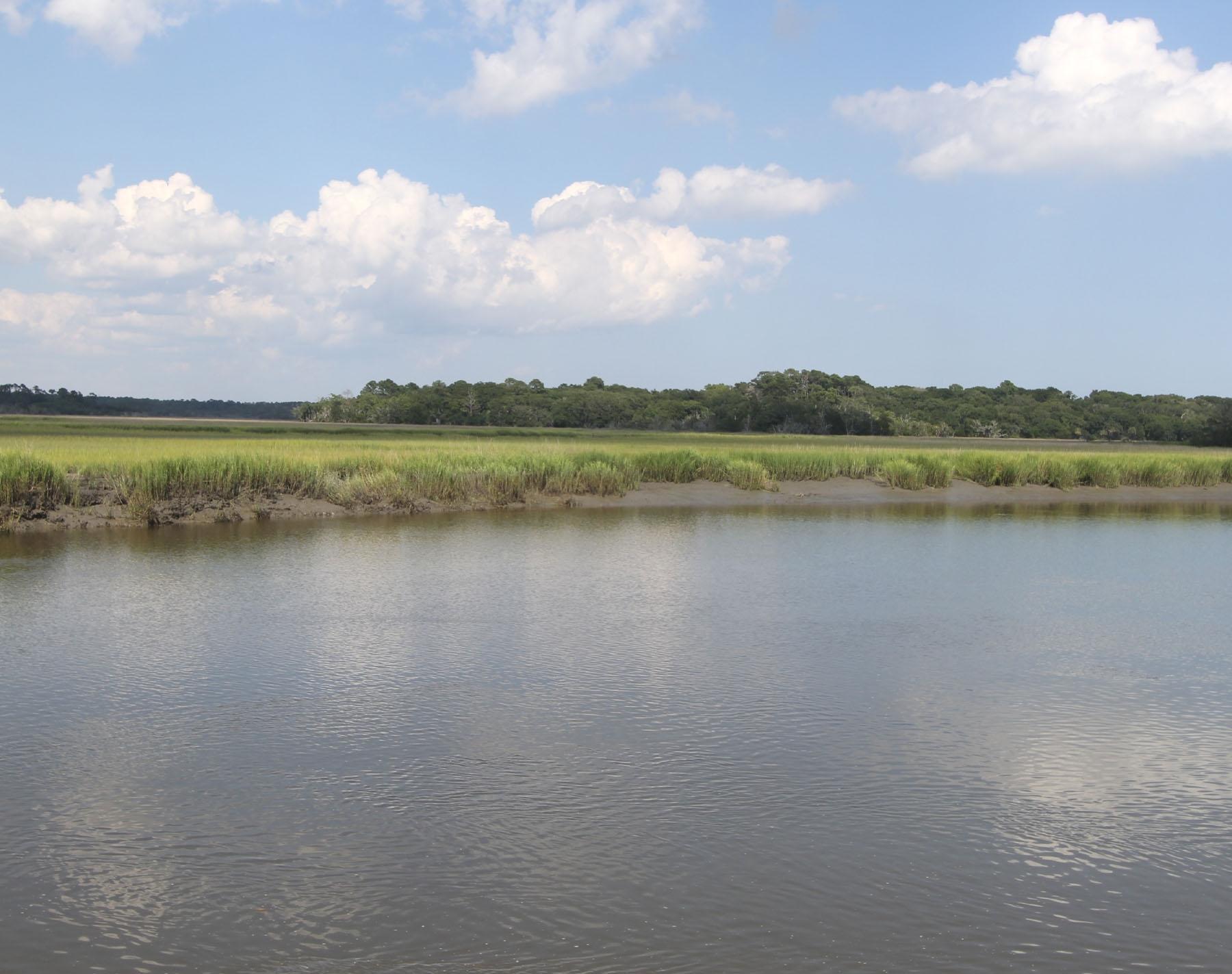 8924 Sandy Creek Road Edisto Island, SC 29438 - Photo 23 of 23 Additional Photo