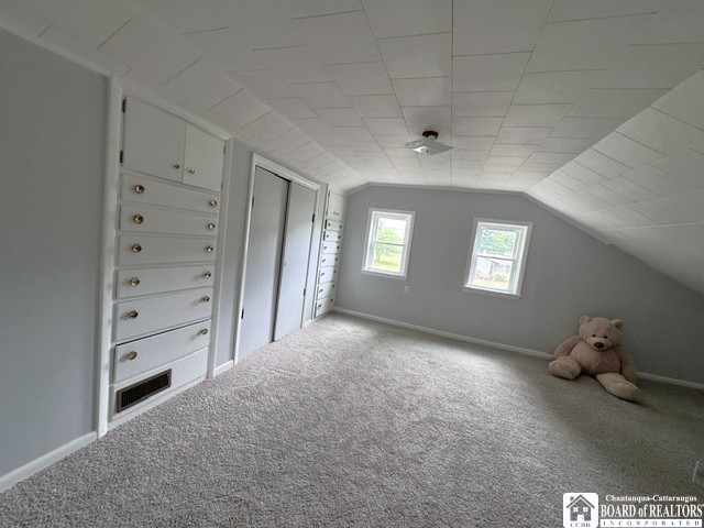10356 Chestnut Road Pomfret, NY 14048 - Photo 35 of 43 Gallery Image 35