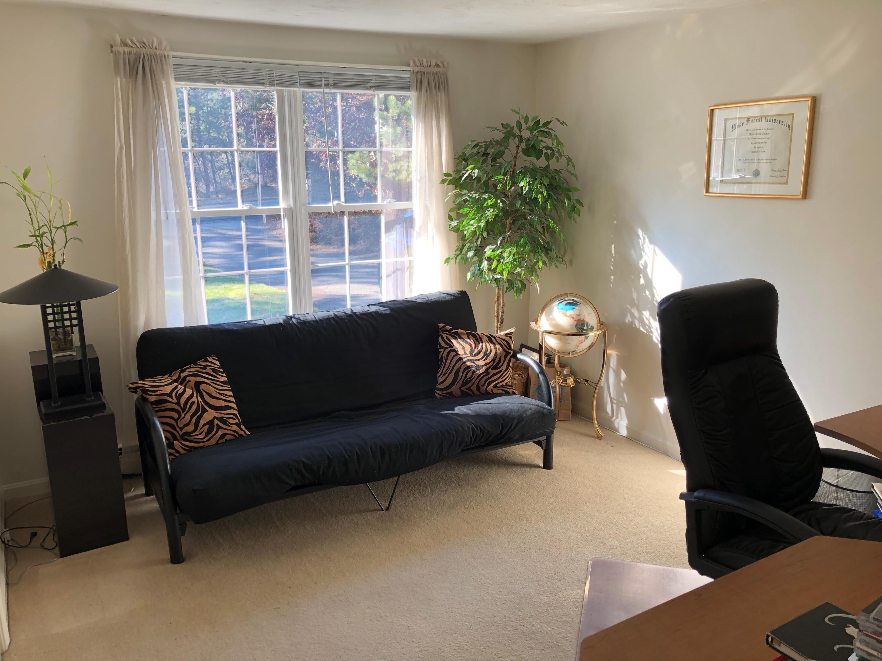 9 Wintergreen Road Mashpee, MA 02649 - Photo 13 of 24 a living room with furniture and a potted plant