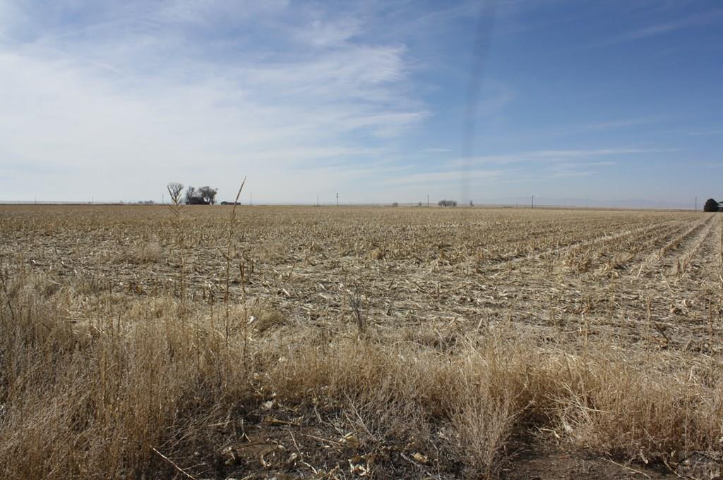 2246 Rd Kk Fowler, CO 81039 - Photo 3 of 8 Gallery Image 3