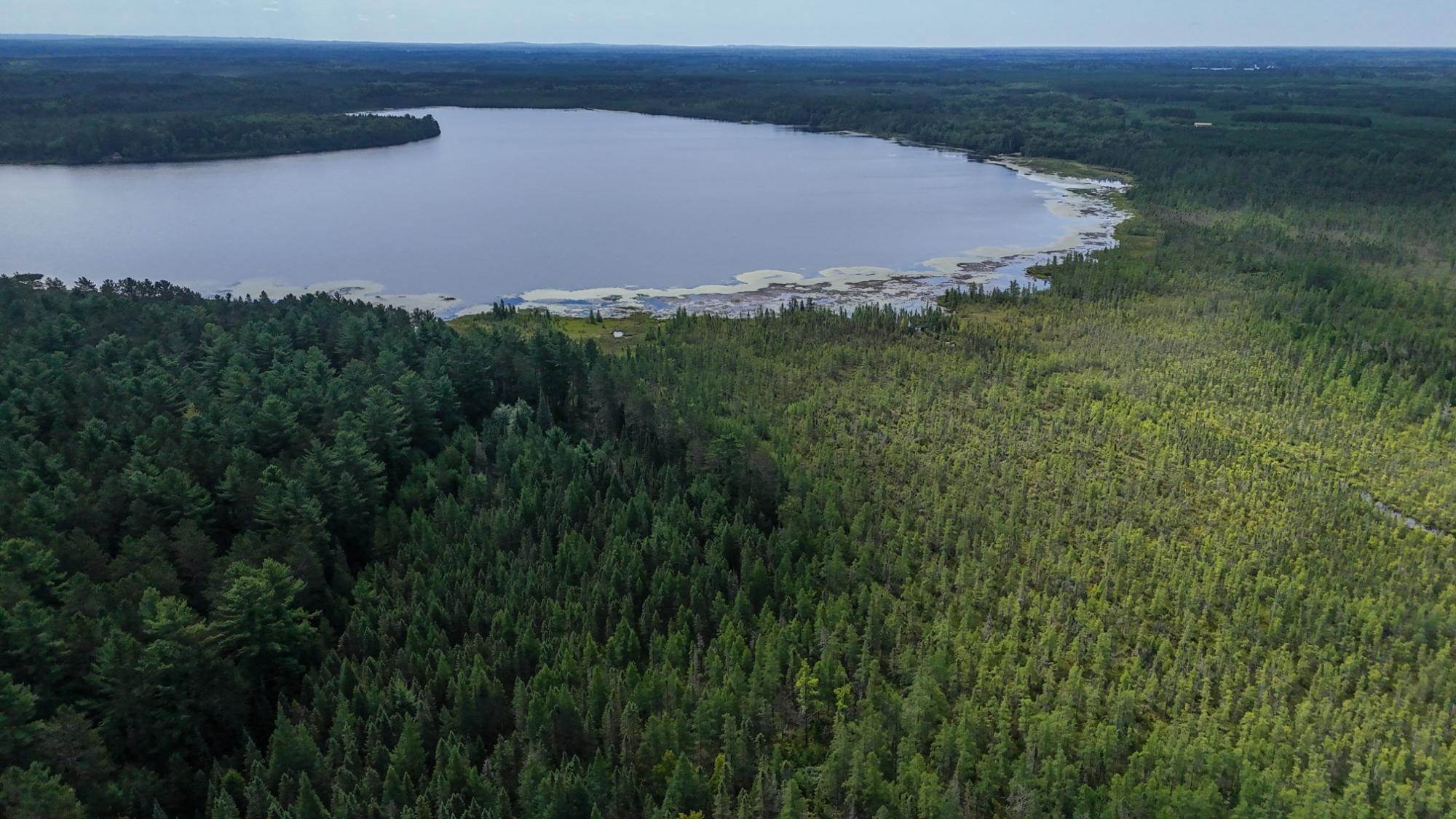 Lot 5 Swamp Lake Road Tomahawk, WI 54487 - Photo 24 of 24 Gallery Image 24