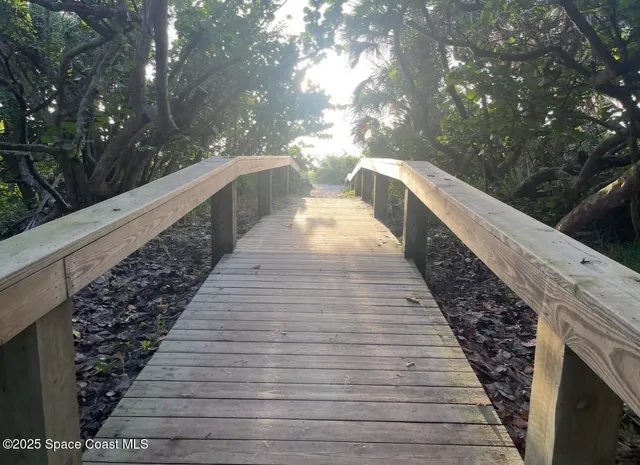 a view of balcony with two plants