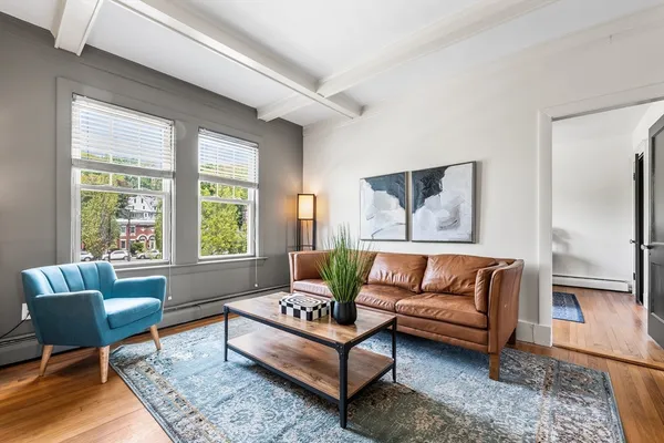 a living room with furniture and a rug