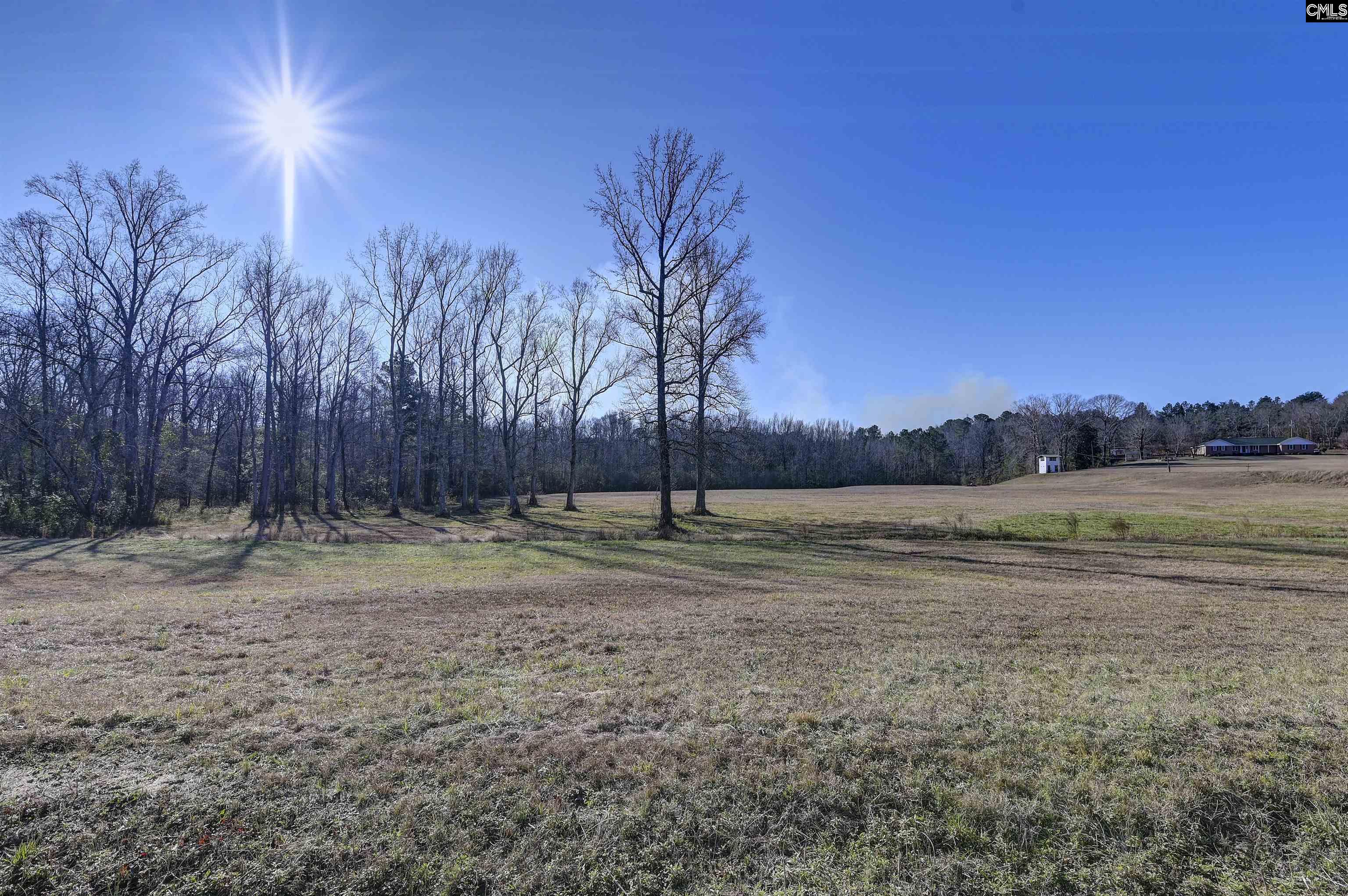 1717 Dixired Road Leesville, SC 29070 - Photo 7 of 15