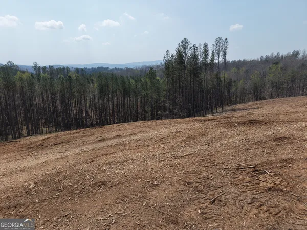 a view of a dry yard with trees in the background