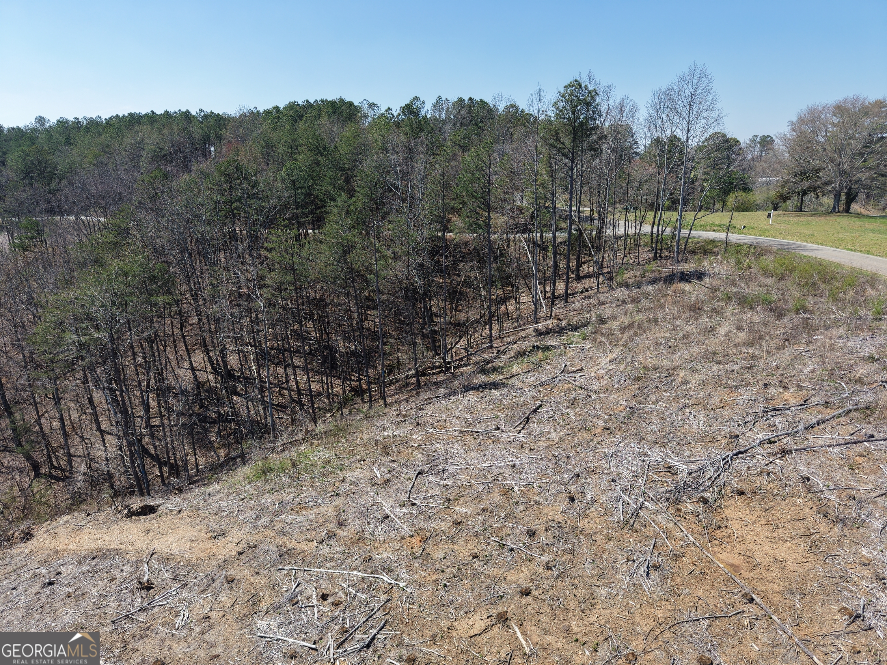 0 Young Loop, Unit 7206 PARCEL C Fairmount, GA 30139 - Photo 28 of 46 a view of a yard with a tree