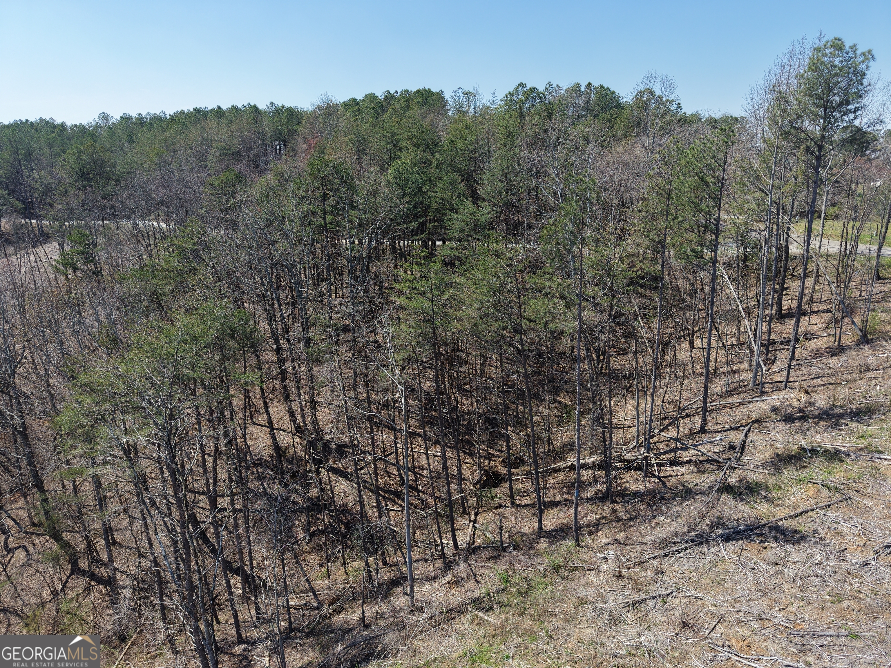 0 Young Loop, Unit 7206 PARCEL C Fairmount, GA 30139 - Photo 30 of 46 a view of a field with lots of trees