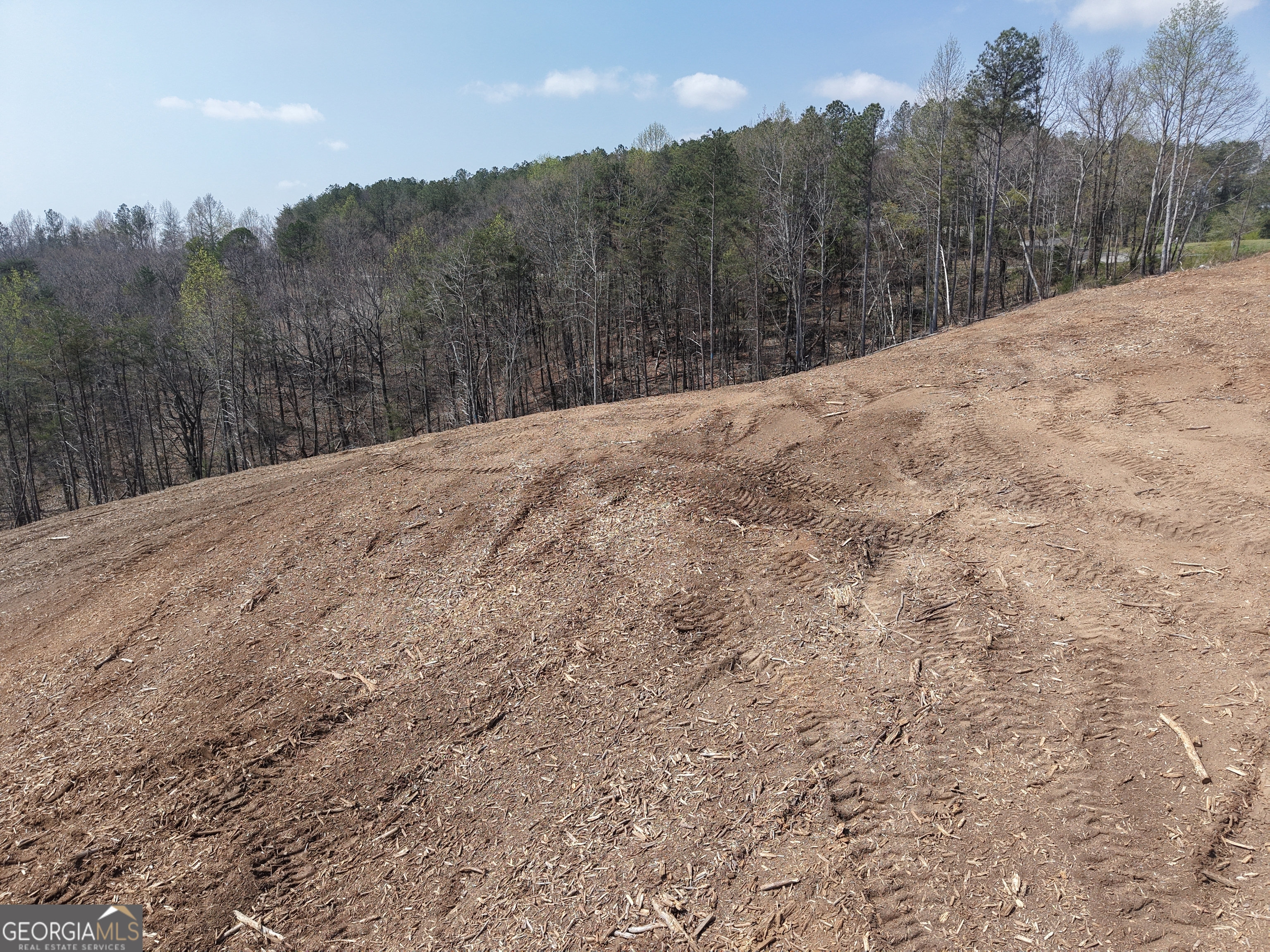 0 Young Loop, Unit 7206 PARCEL C Fairmount, GA 30139 - Photo 3 of 46 a view of a outdoor space with mountain view