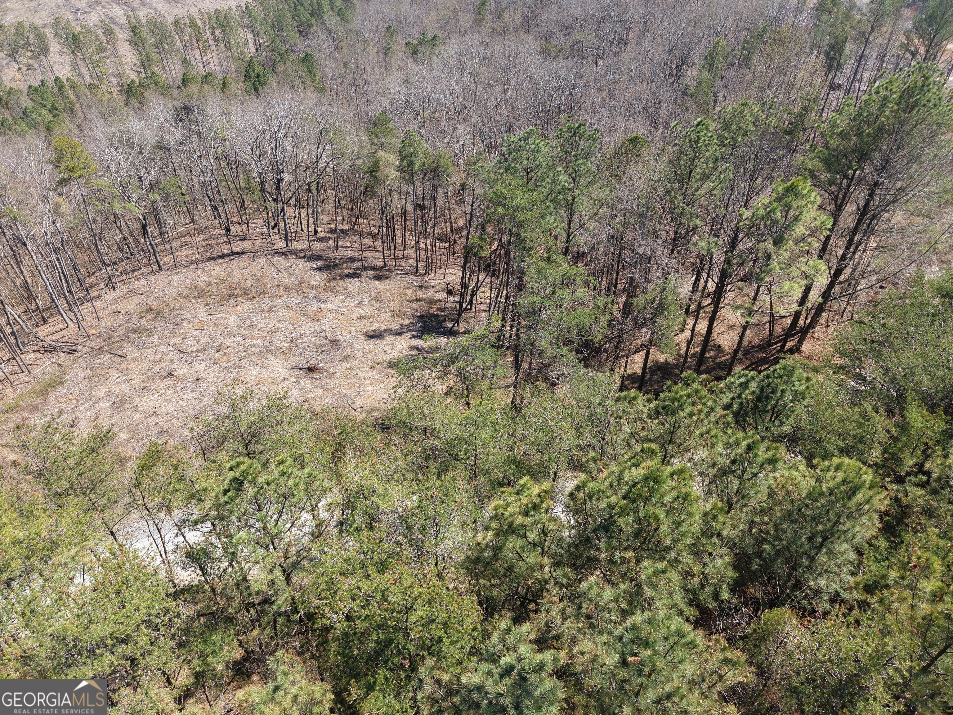 0 Young Loop, Unit 7206 PARCEL C Fairmount, GA 30139 - Photo 34 of 46 a view of a forest with trees
