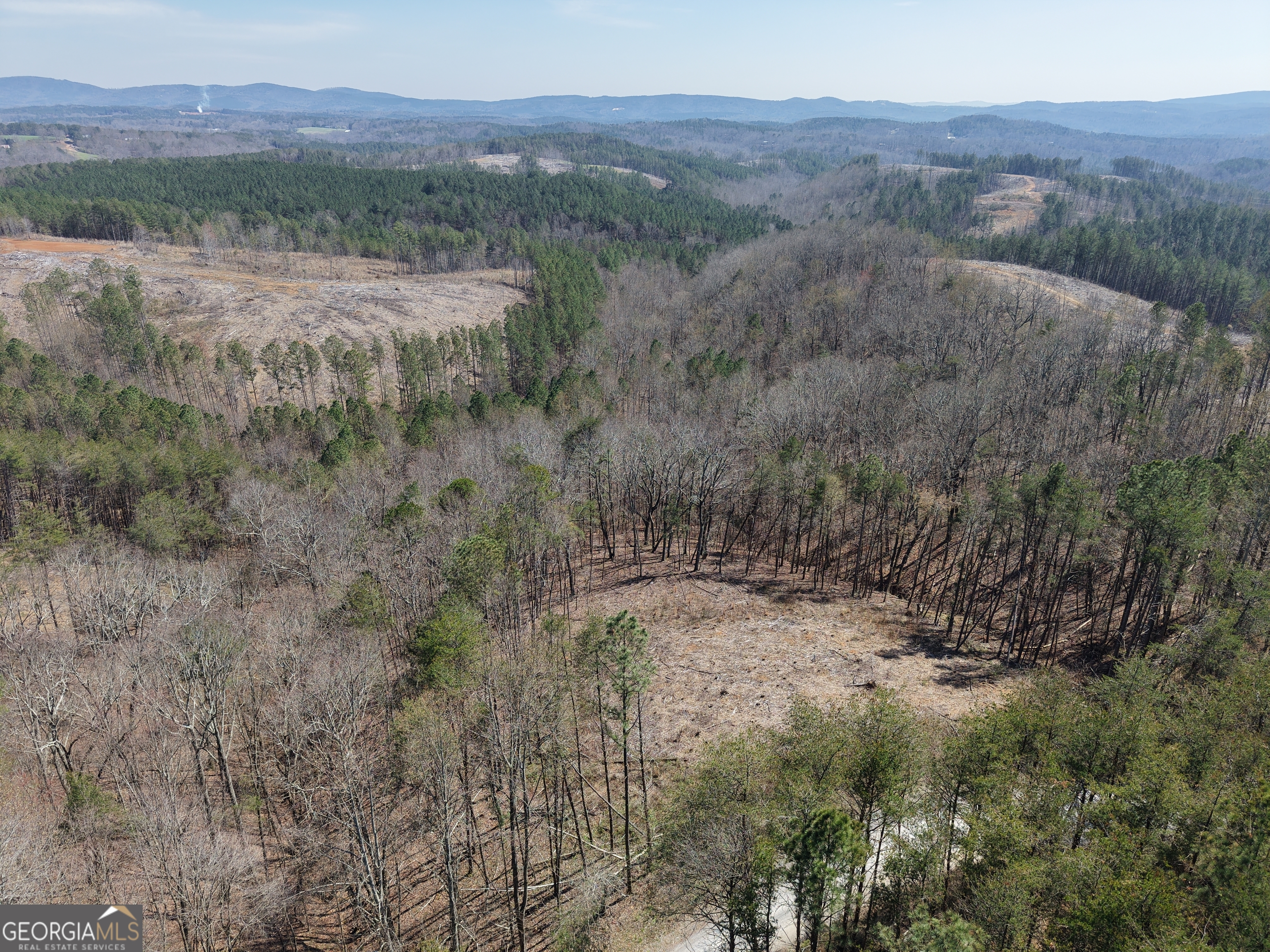 0 Young Loop, Unit 7206 PARCEL C Fairmount, GA 30139 - Photo 37 of 46 a view of a forest with a tree