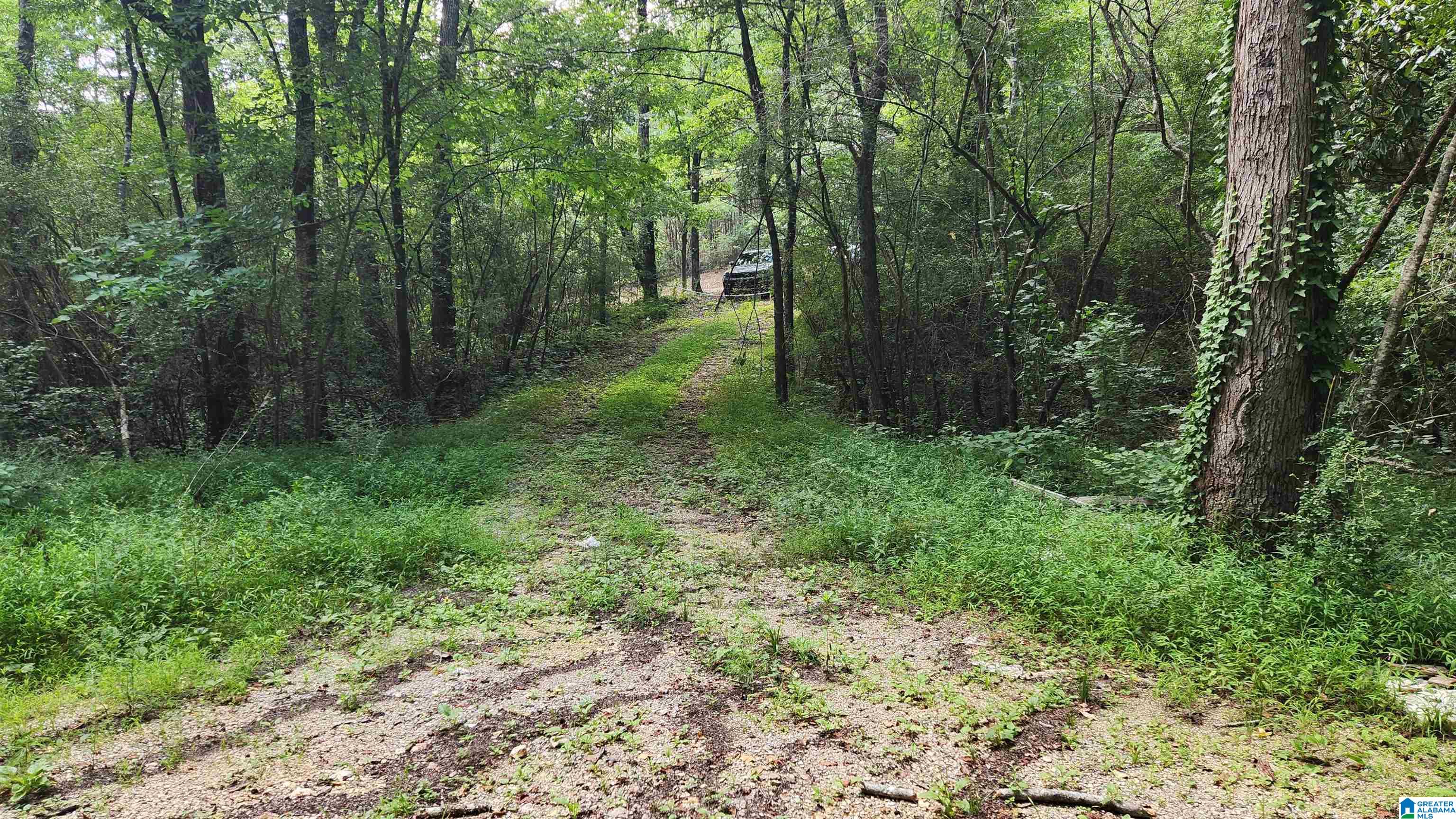 5233 Dewey Heights Road Pinson, AL 35126 - Photo 3 of 5