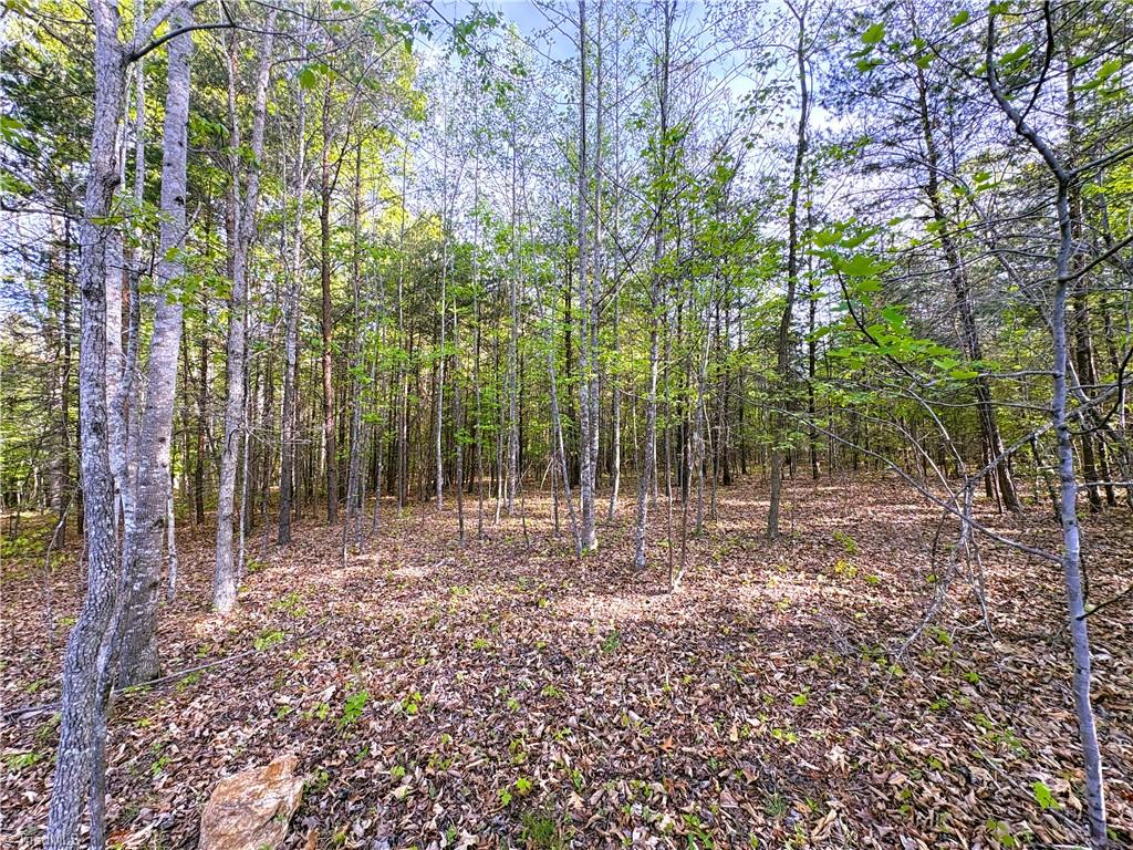 521 Matrimony Road Eden, NC 27288 - Photo 1 of 36 Gallery Image 1