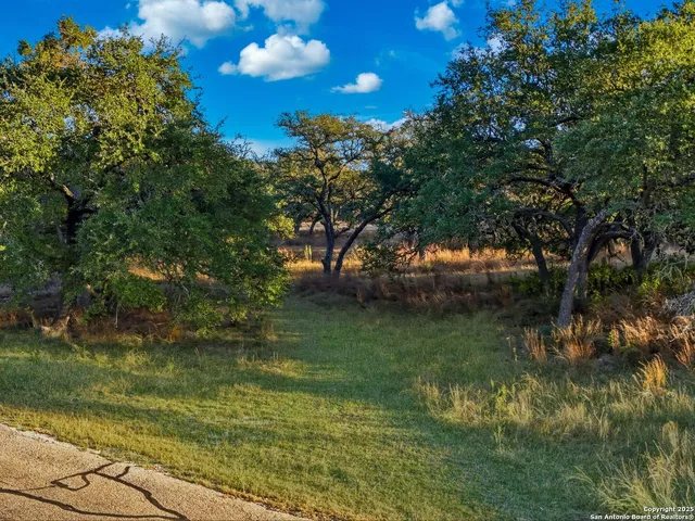 a view of a house with a backyard and a garden