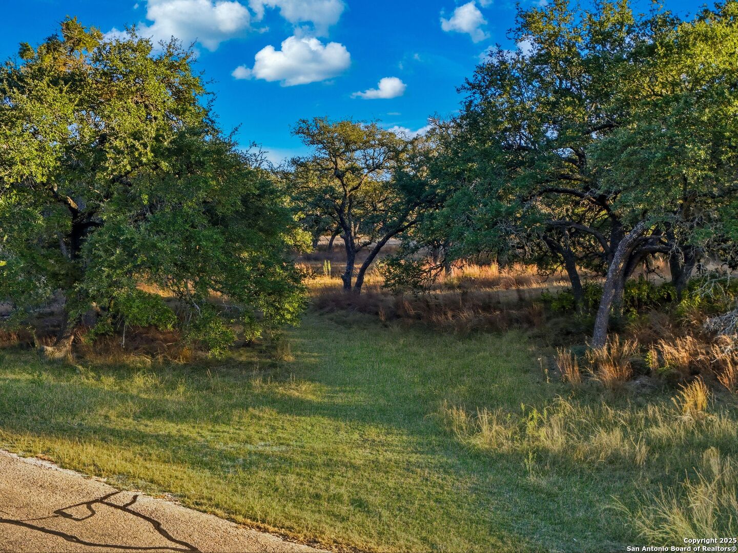 577 Cattle Creek Road Johnson City, TX 78636 - Photo 45 of 68