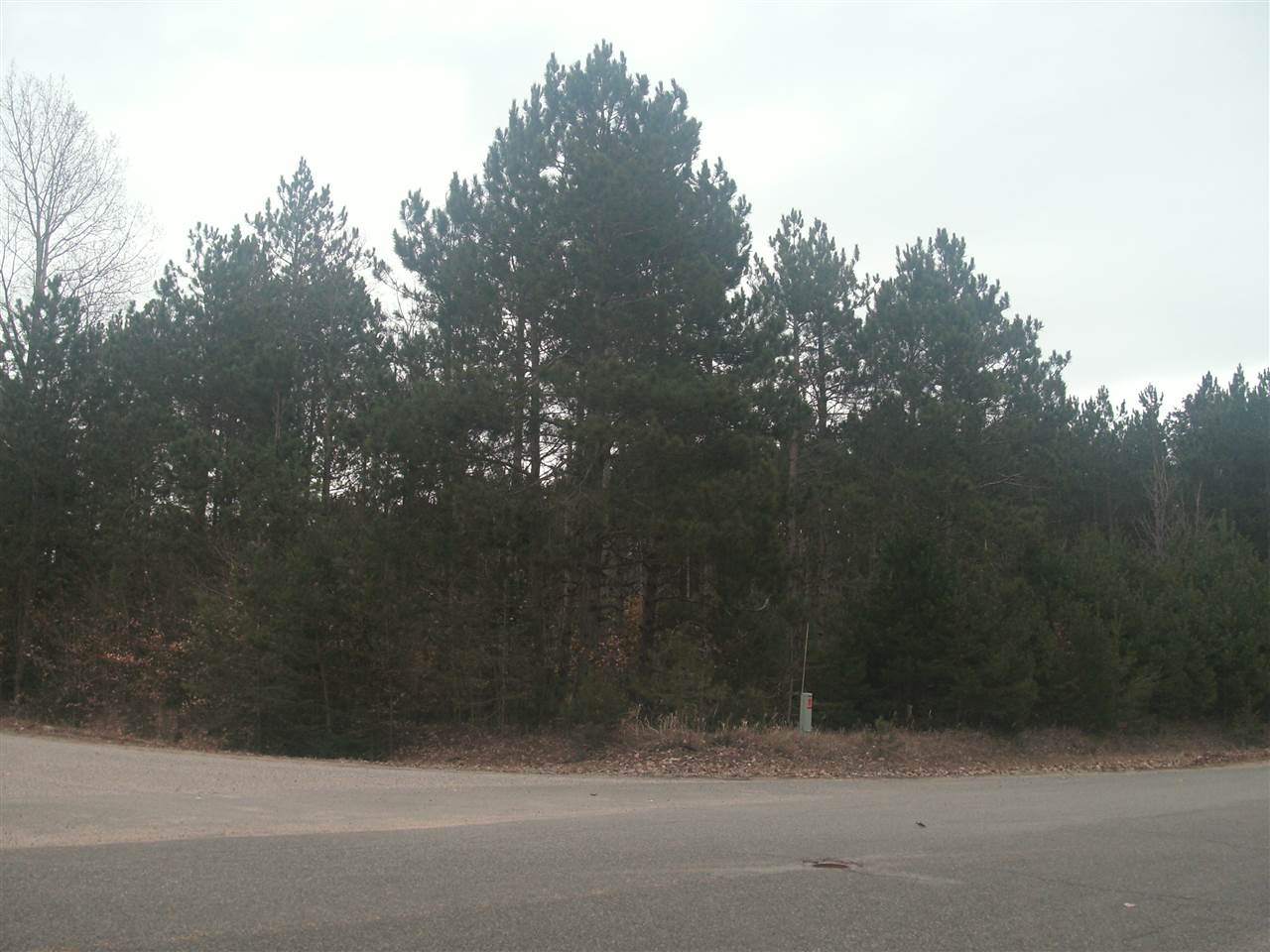 77 Ac M/l Erdman Road Manistee, MI 49660 - Photo 4 of 8 1797326-3.JPG
