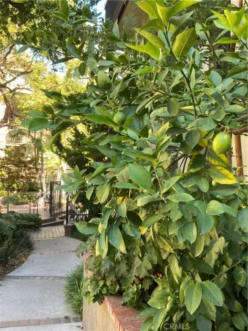 $775,000 | 330 Cordova Street, Unit 261, Pasadena, CA 91101