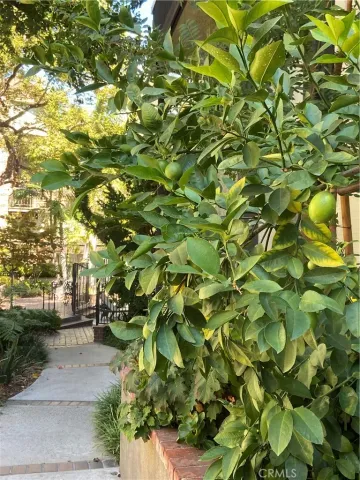 $788,000 | 330 Cordova Street, Unit 261, Pasadena, CA 91101