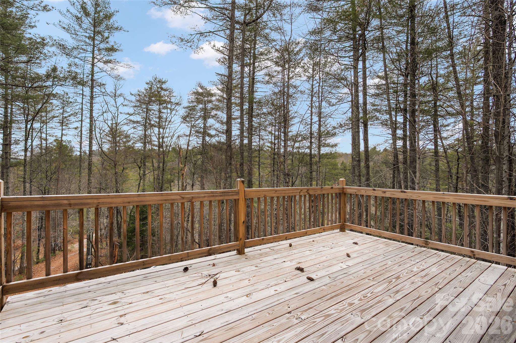 109 Tumblebug Trail Road Flat Rock, NC 28731 - Photo 9 of 27