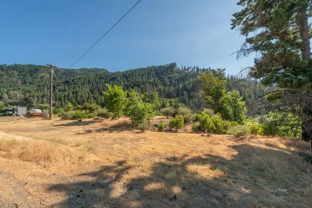 a view of a yard with a tree