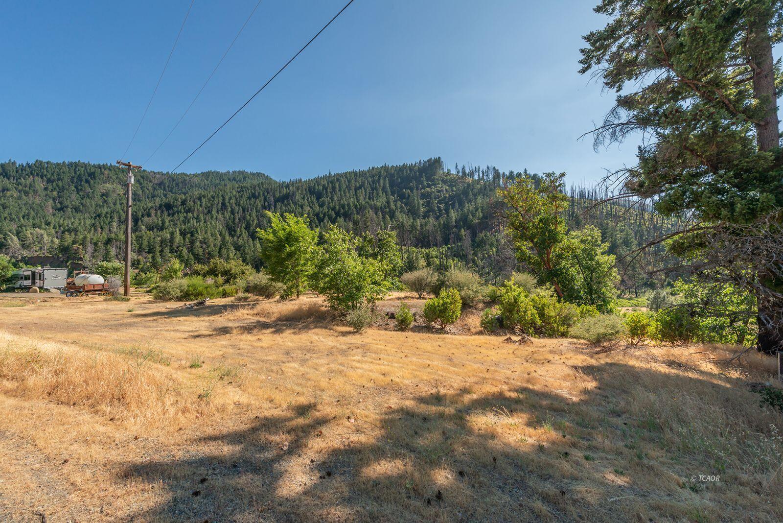 38550 Highway 299 Junction City, CA 96048 - Photo 12 of 12 a view of a yard with a tree