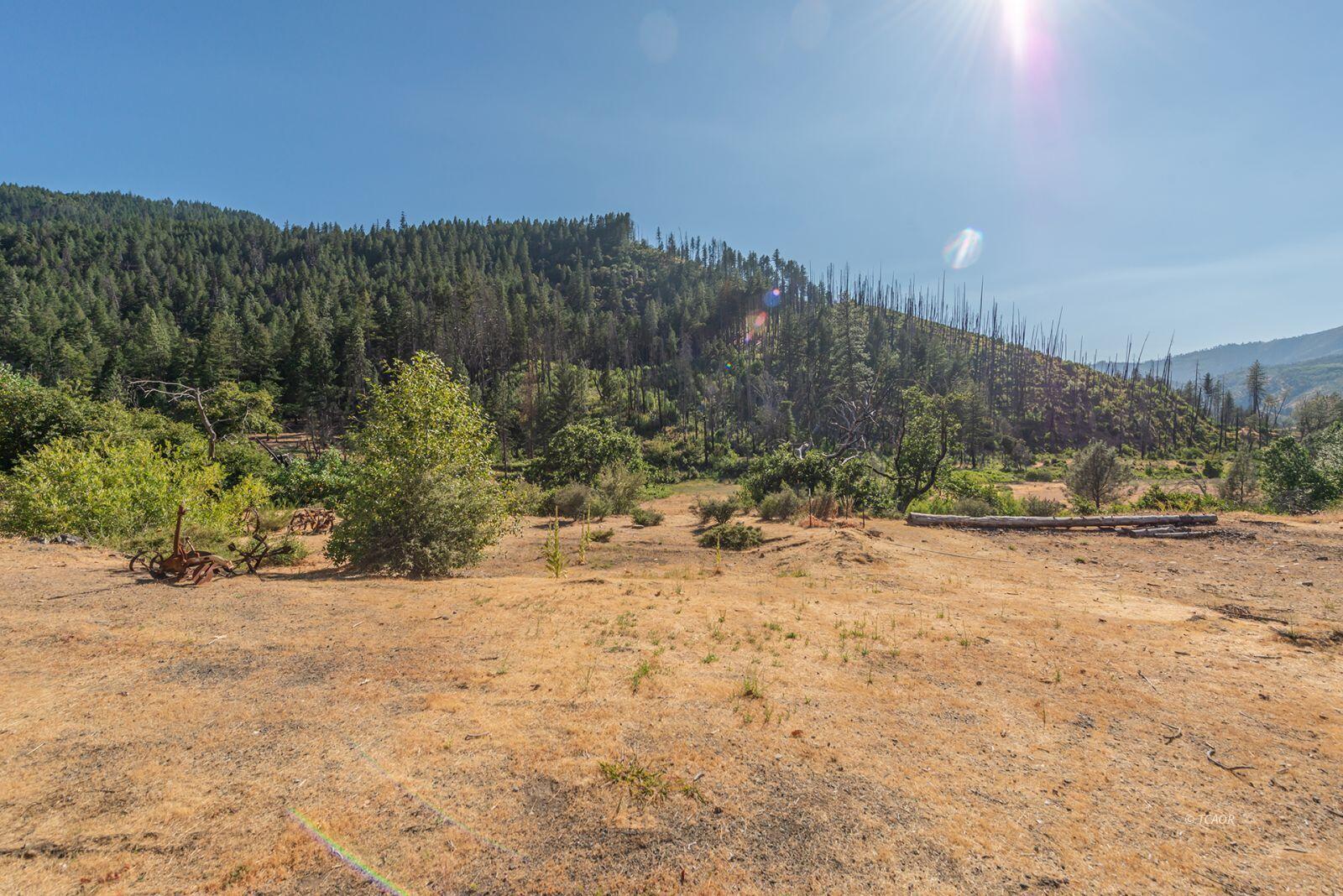 38550 Highway 299 Junction City, CA 96048 - Photo 2 of 12 a view of a yard with a tree