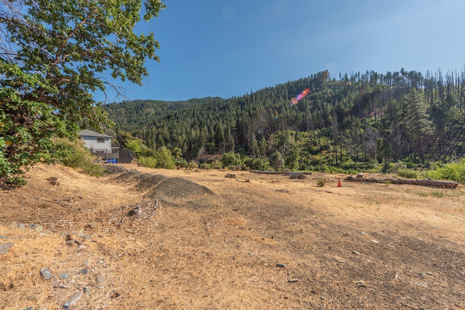 38550 Highway 299 Junction City, CA 96048 - Photo 4 of 12 a view of a yard with a tree