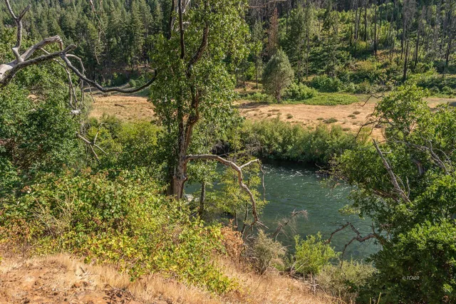 a view of a lake with large trees