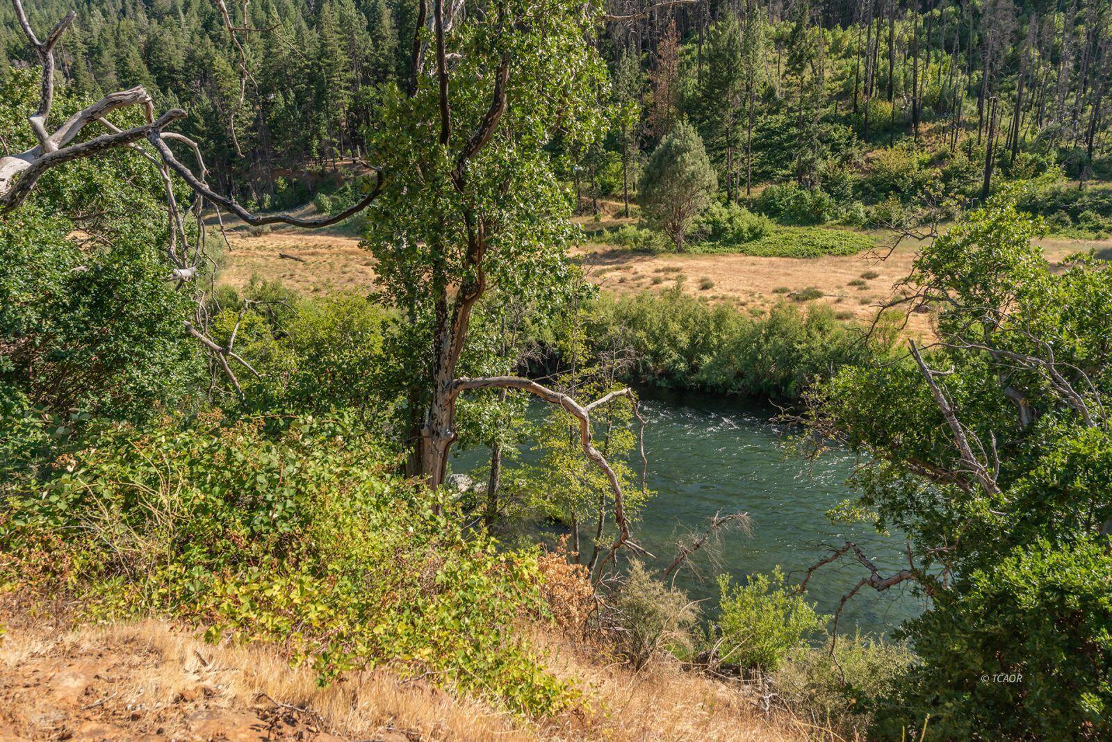 38550 Highway 299 Junction City, CA 96048 - Photo 6 of 12 a view of a lake with large trees