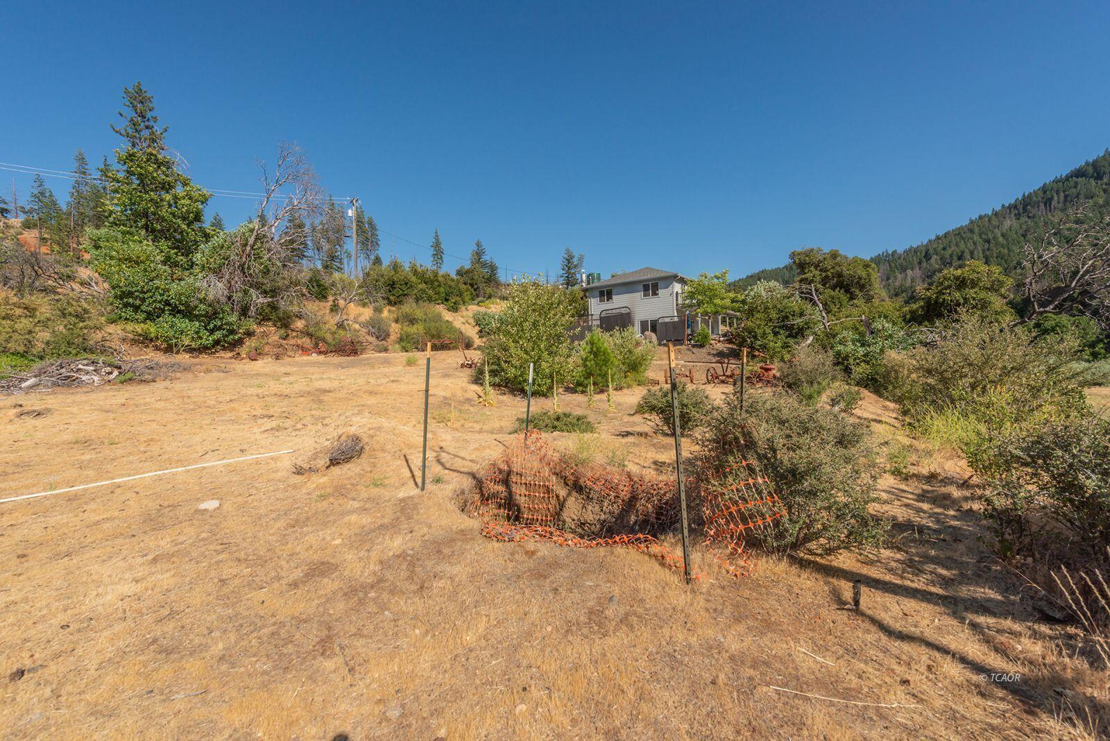 38550 Highway 299 Junction City, CA 96048 - Photo 8 of 12 a view of a yard with mountain view