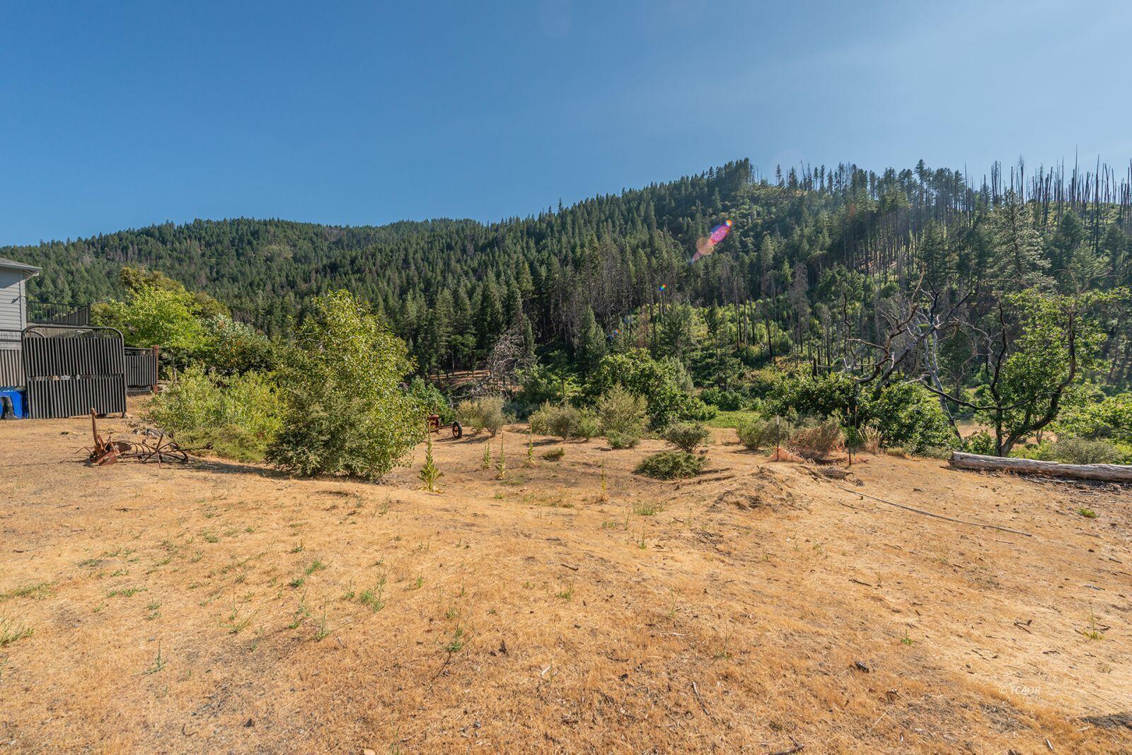 38550 Highway 299 Junction City, CA 96048 - Photo 9 of 12 a view of a backyard of a house