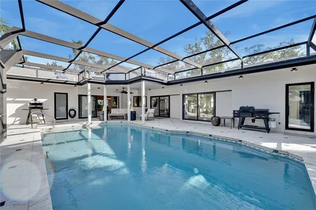 a plant that is in a garden