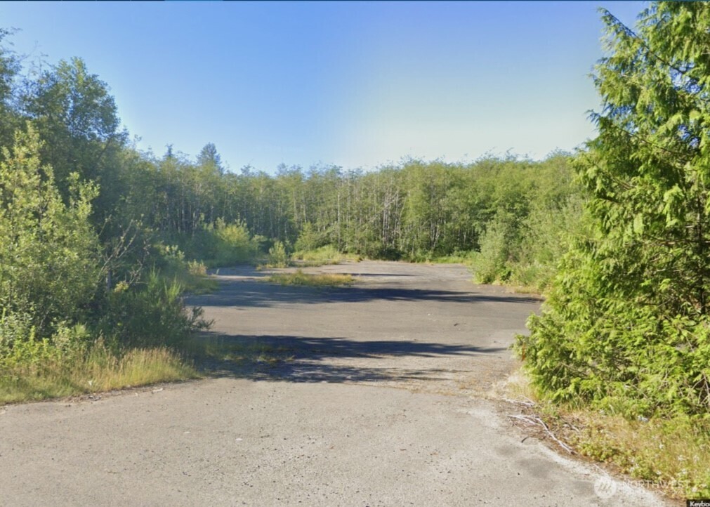 7507 Highway 101 Amanda Park, WA 98526 - Photo 16 of 30