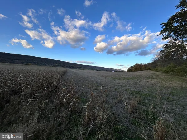 a view of a field with a view of trees