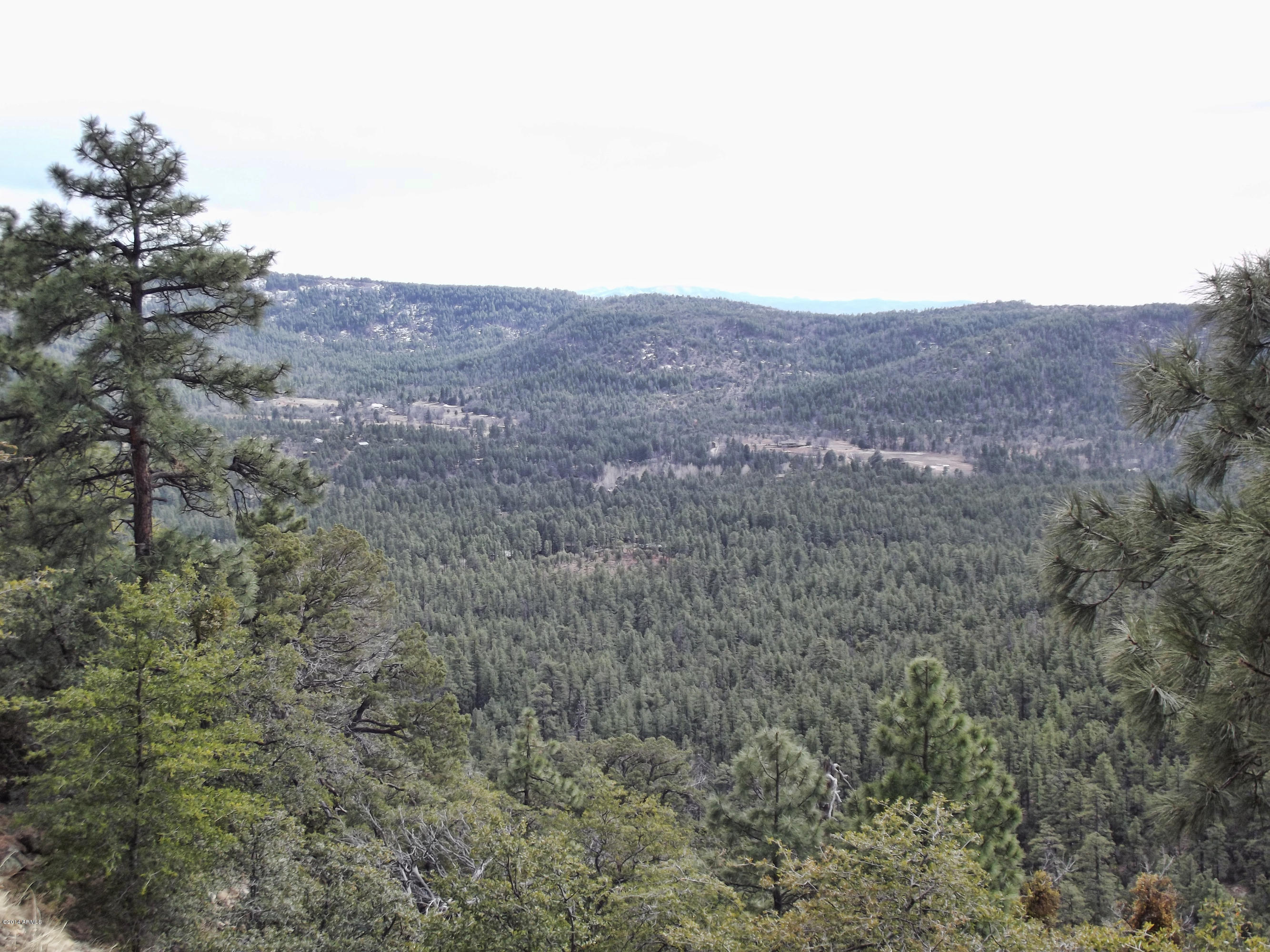 173 Standage Drive Payson, AZ 85541 - Photo 19 of 46 17