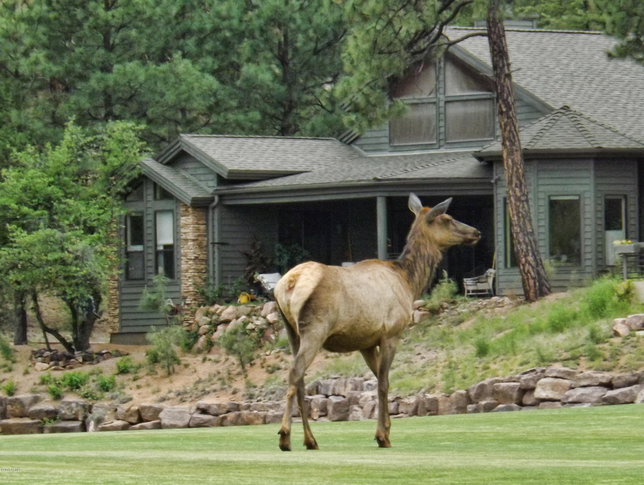 173 Standage Drive Payson, AZ 85541 - Photo 35 of 46 38