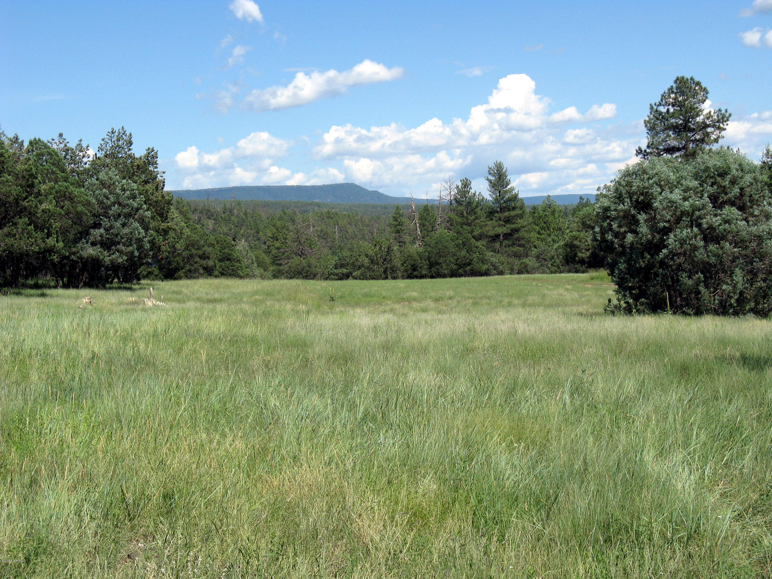 173 Standage Drive Payson, AZ 85541 - Photo 36 of 46 39