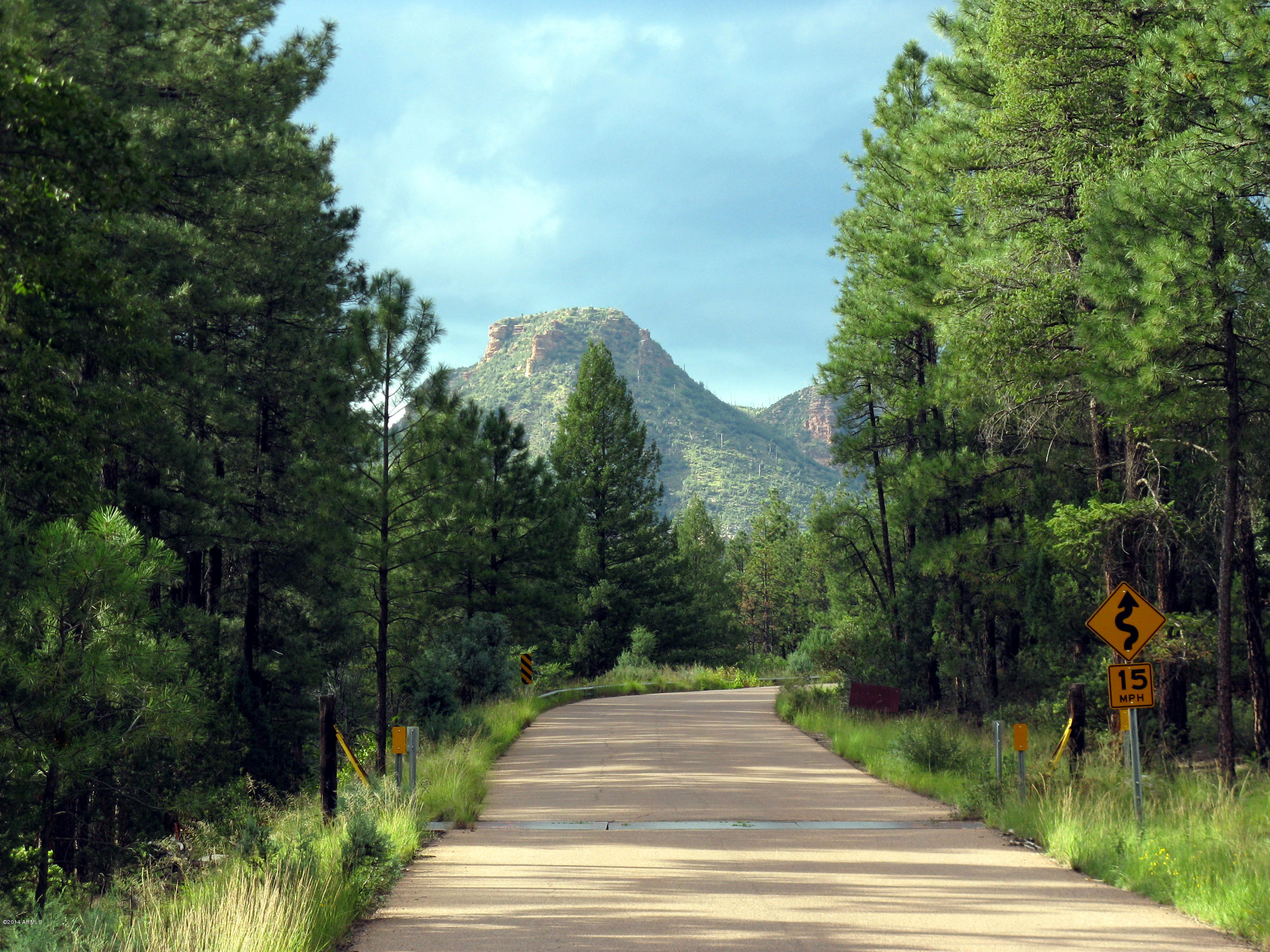 173 Standage Drive Payson, AZ 85541 - Photo 40 of 46 43