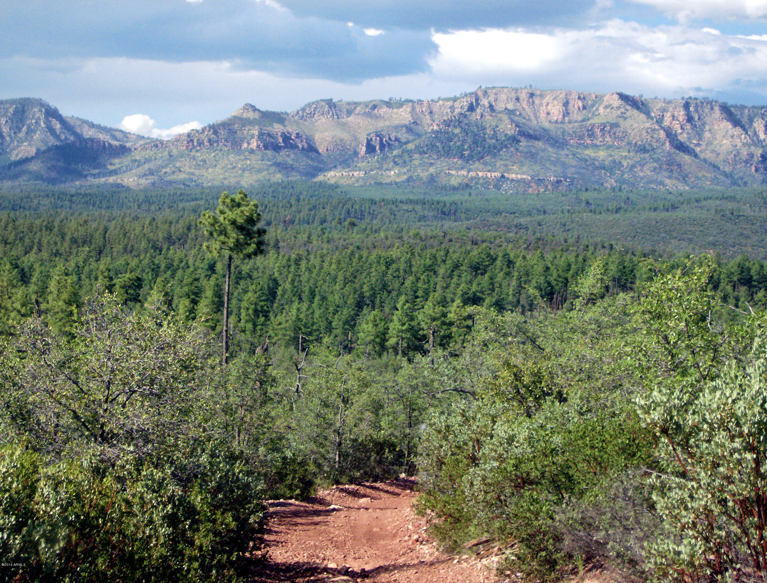 173 Standage Drive Payson, AZ 85541 - Photo 43 of 46 46