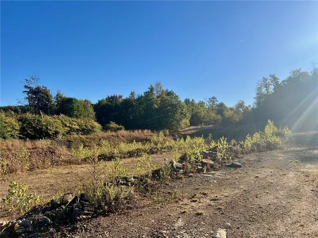 a view of a yard with a tree