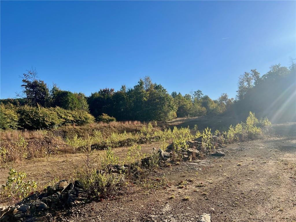 523 Farren Surrena Road Harrisville, PA 16038 - Photo 12 of 24 a view of a yard with a tree