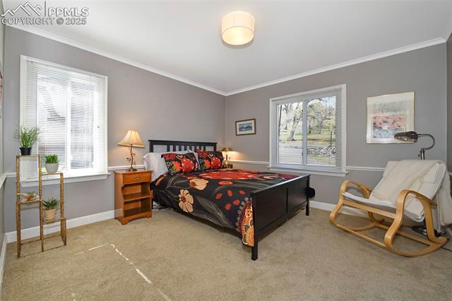 2421 Strickler Road Colorado Springs, CO 80906 - Photo 29 of 44 Carpeted bedroom with crown molding and baseboards